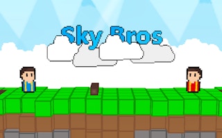 Image Sky Bros - 2 Players